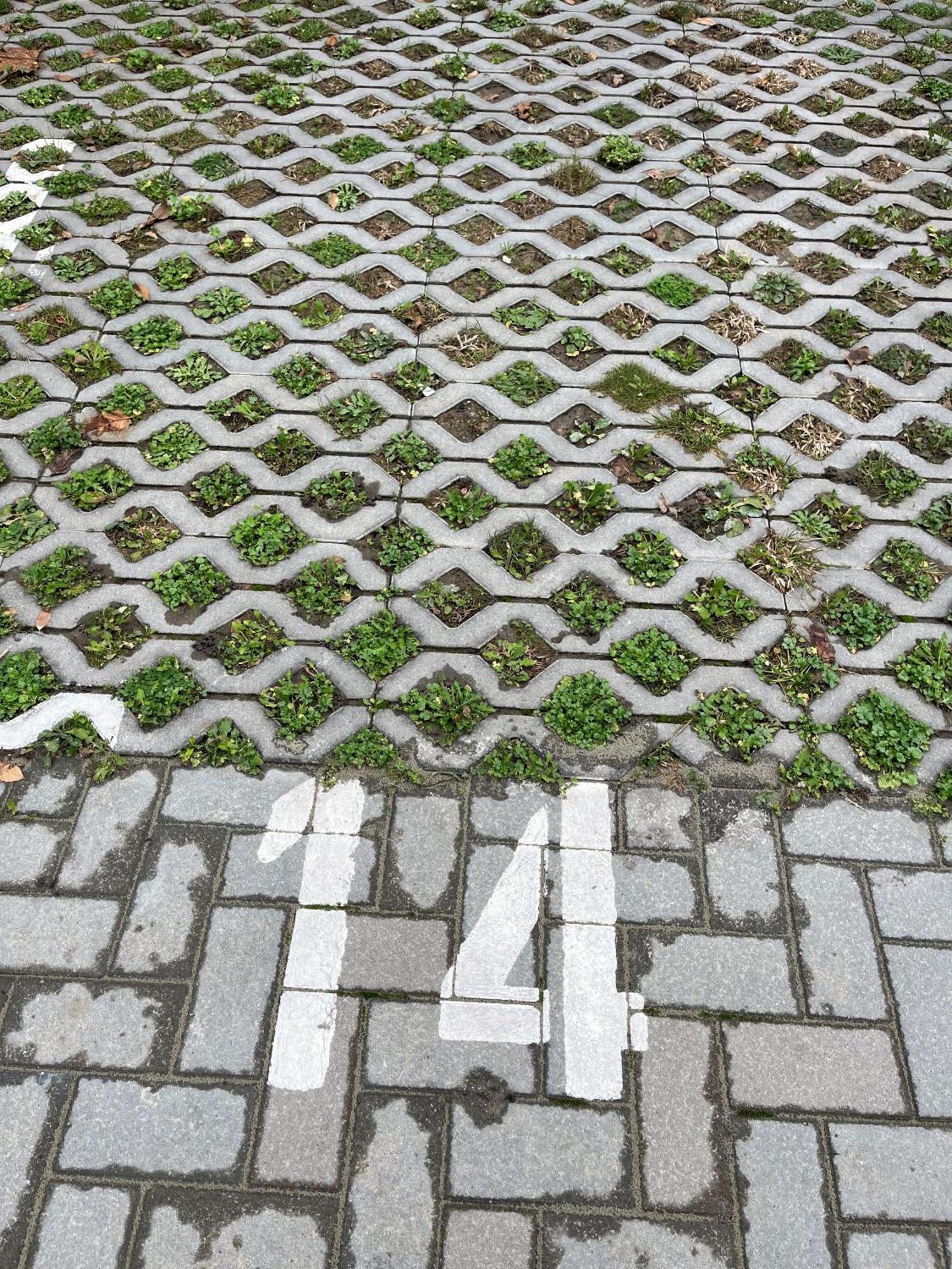 Ciao Lilla Apartman Кестели Екстериор снимка